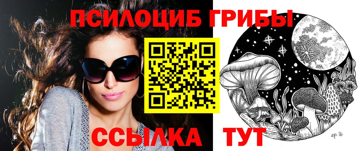 Жуковский  Псилоцибиновые грибы Psilocybine cubensis  Вход с VPN 